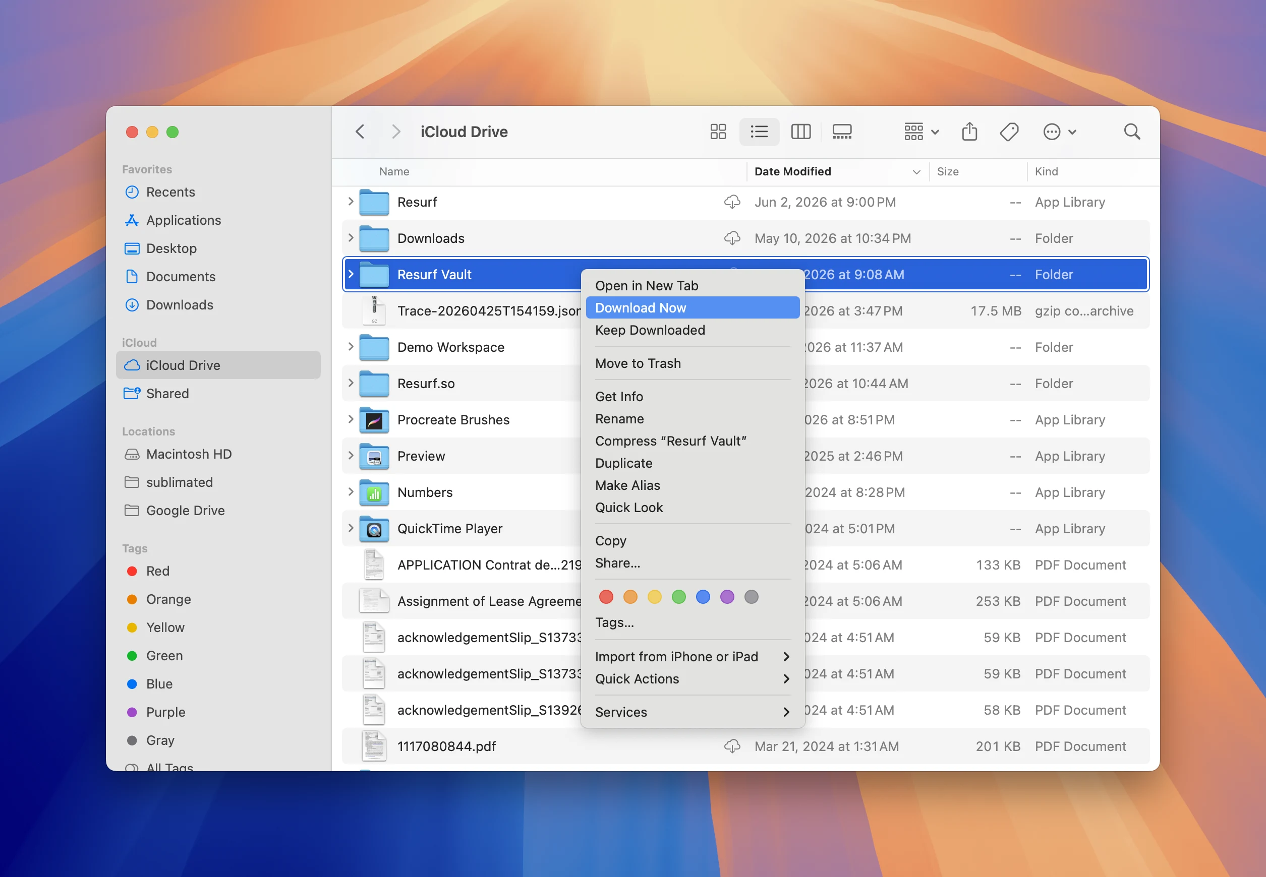 Download Now pulls the whole folder onto this Mac